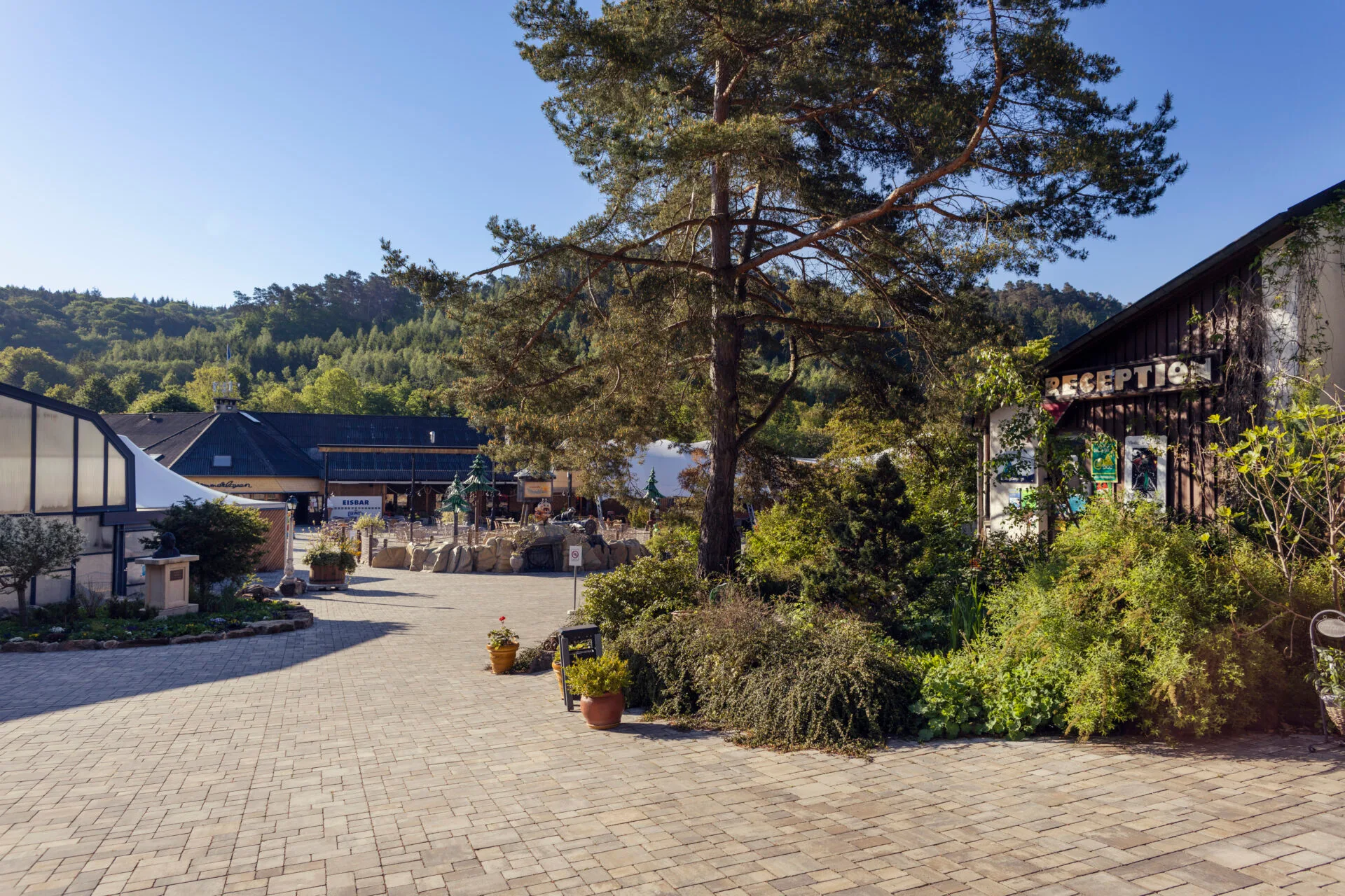 Noumer_Camping2