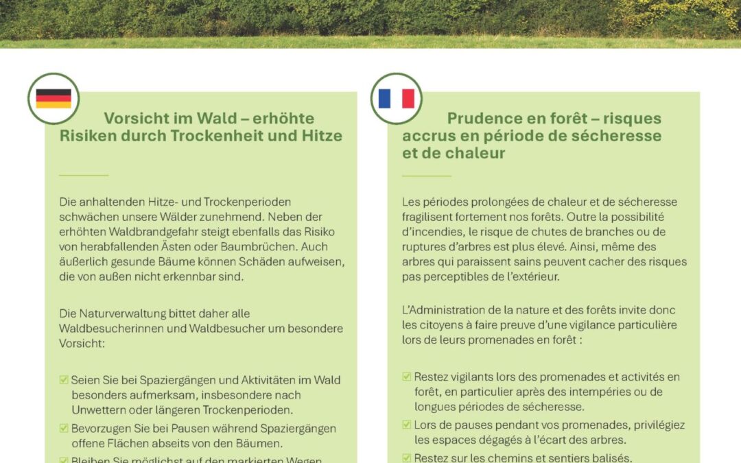 Oppassen am Bësch – erhéicht Risiken duerch Dréchent an Hëtzt