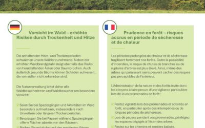 Oppassen am Bësch – erhéicht Risiken duerch Dréchent an Hëtzt