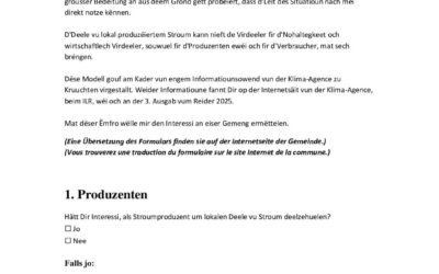 Ëmfro – Interessi um lokalen Deele vu Stroum an der Gemeng Noumer