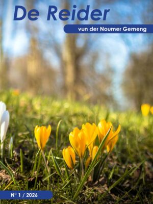 De Reider 1 / 2026