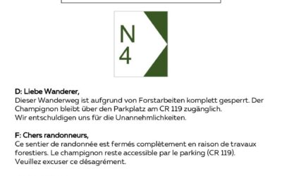 Bëschaarbechten um Kengert